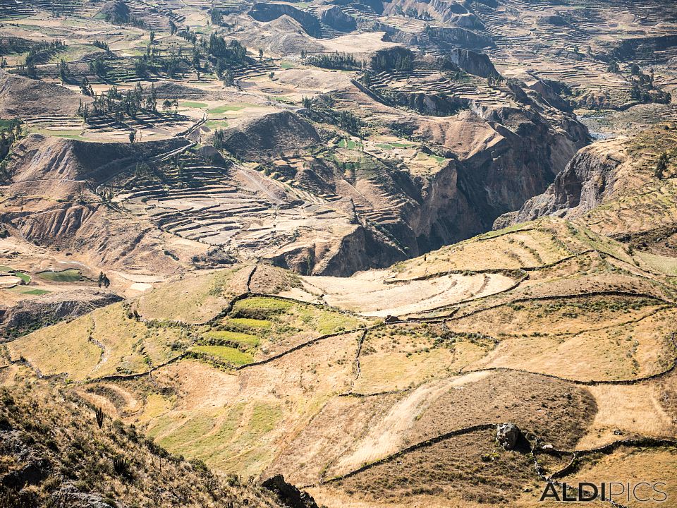 Colca canyon