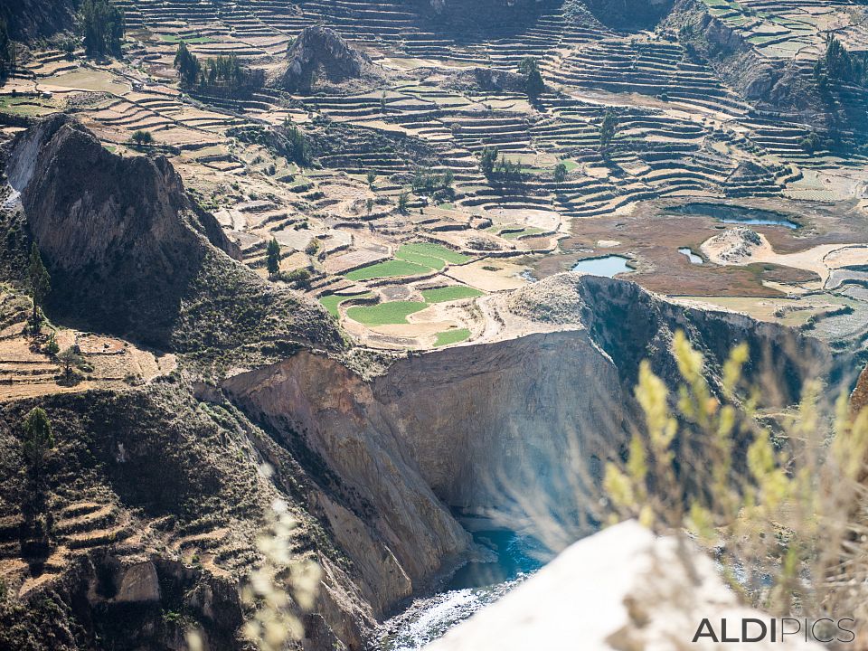 Colca canyon