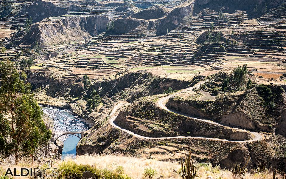 Colca canyon