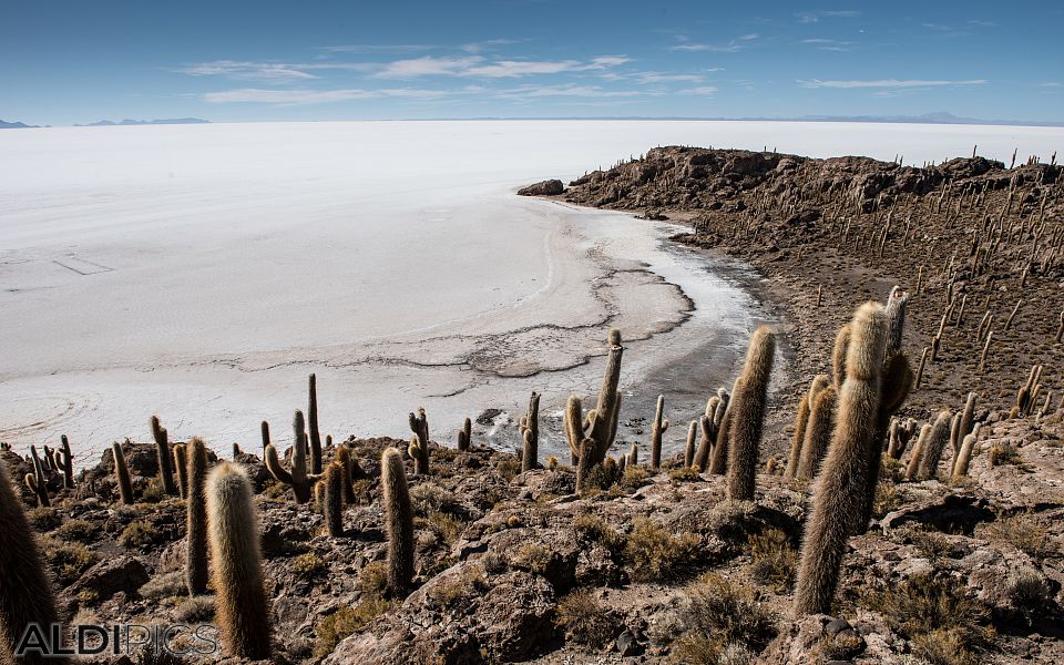 Salt desert