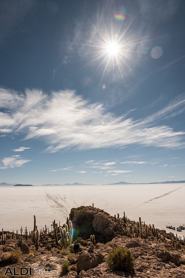 Salt desert