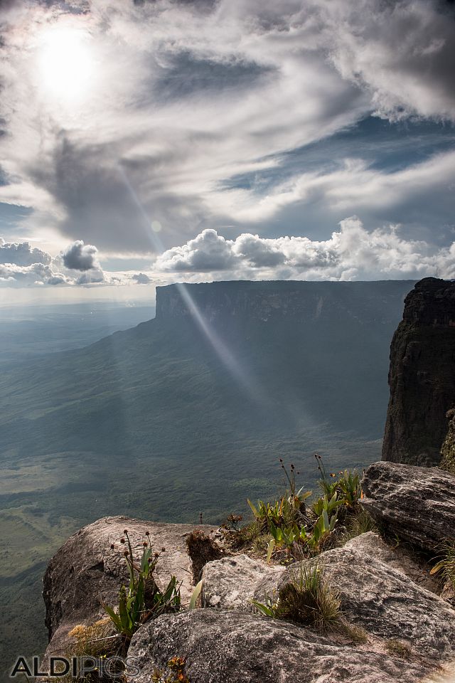 Roraima - the strangest mountain