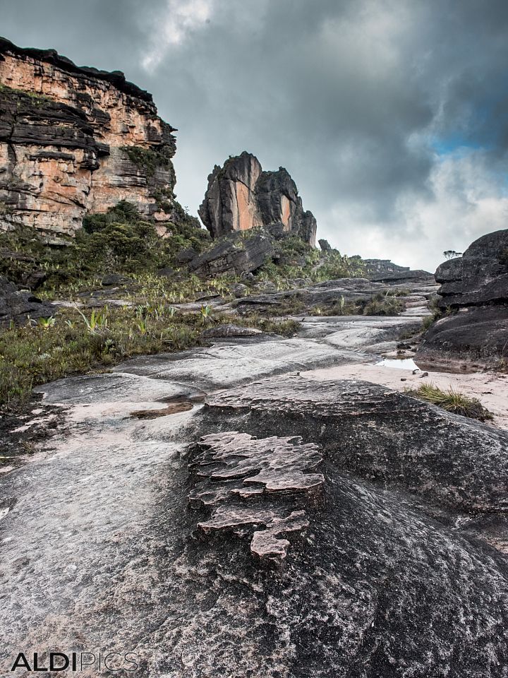 Roraima - the strangest mountain