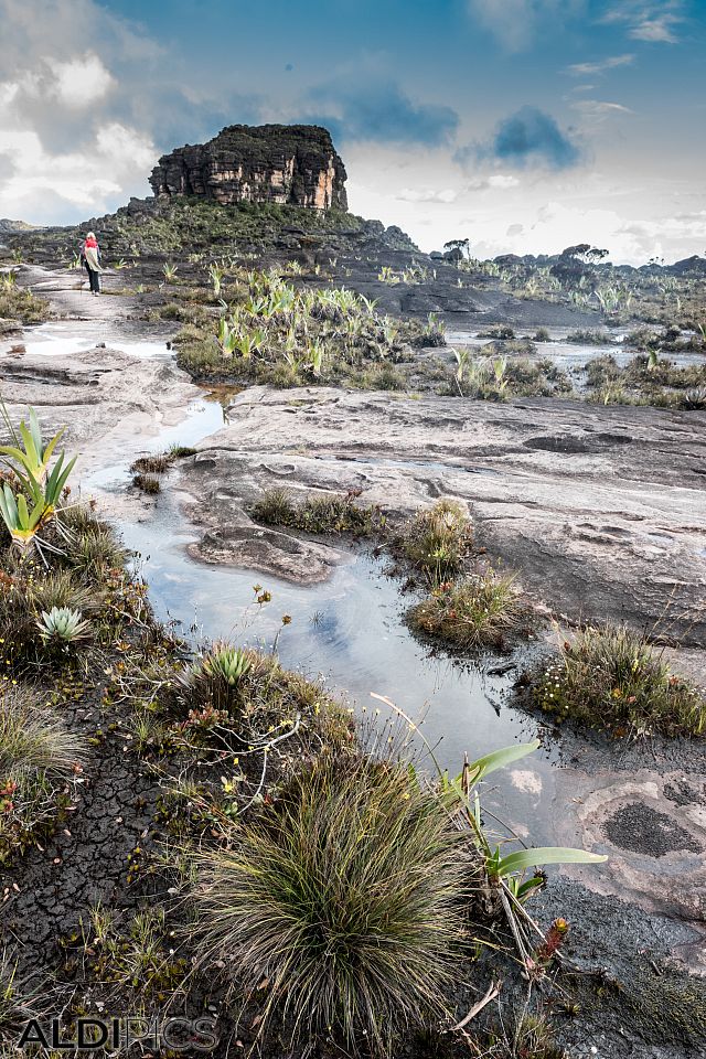 Roraima - the strangest mountain