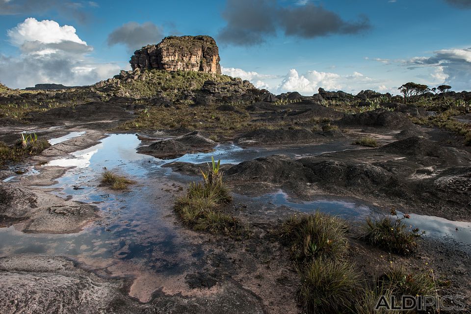 Roraima - the strangest mountain