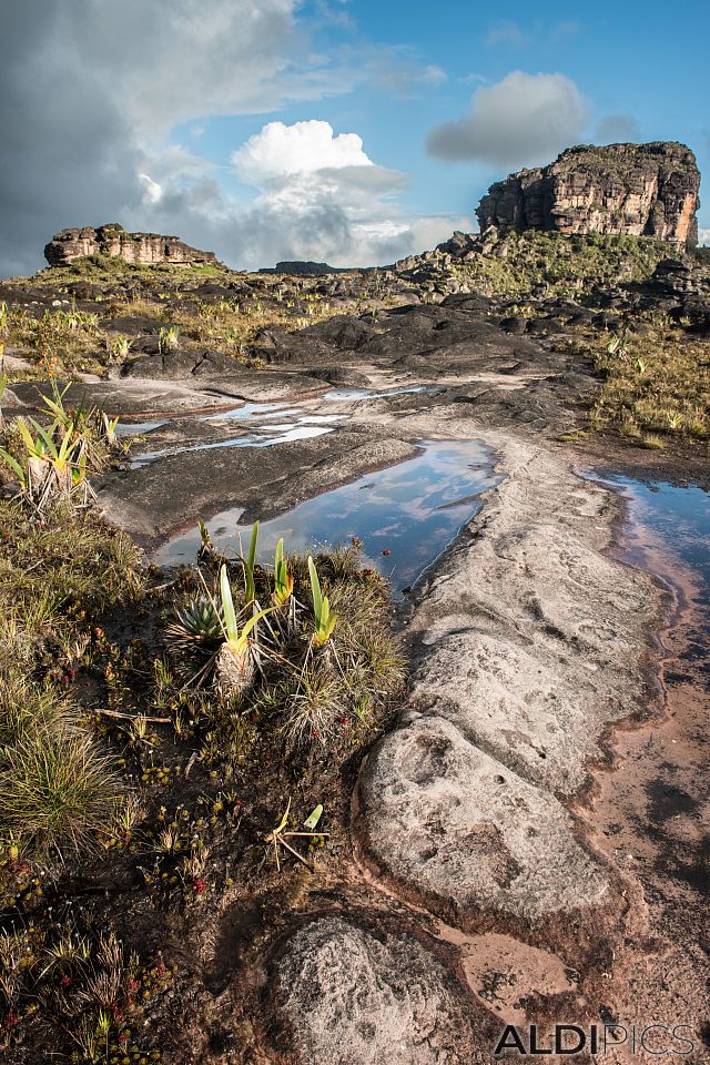 Roraima - the strangest mountain