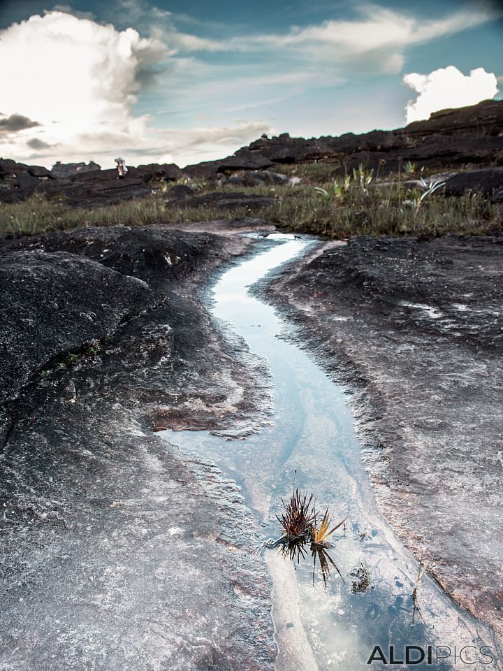 Roraima - the strangest mountain