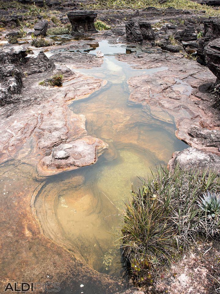 Roraima - the strangest mountain