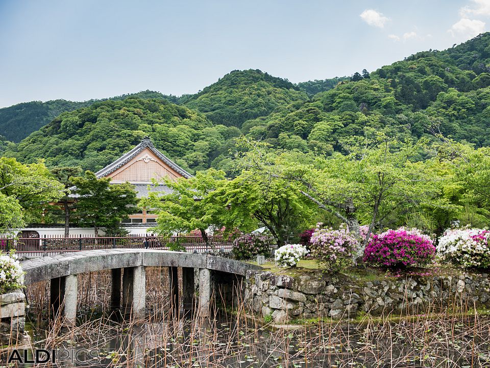 The streets of Nara