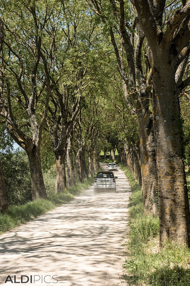 Tuscan road