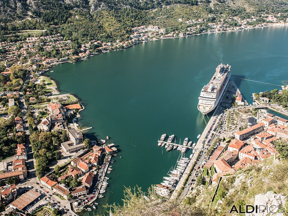 Port of Kotor