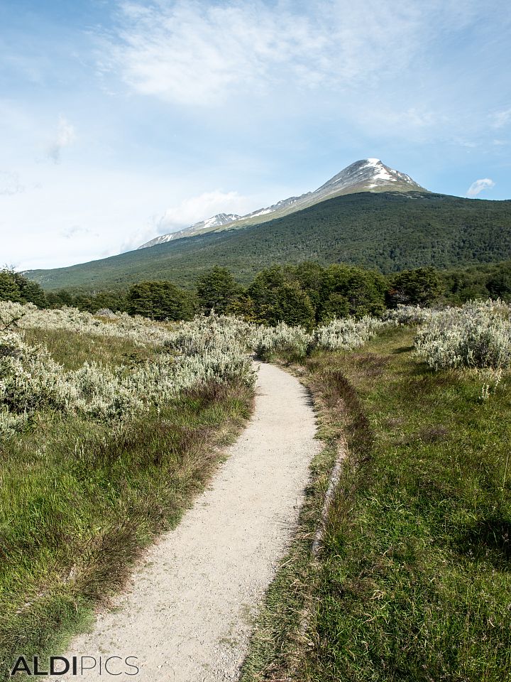 Parque Nacional Tierra del Fuego