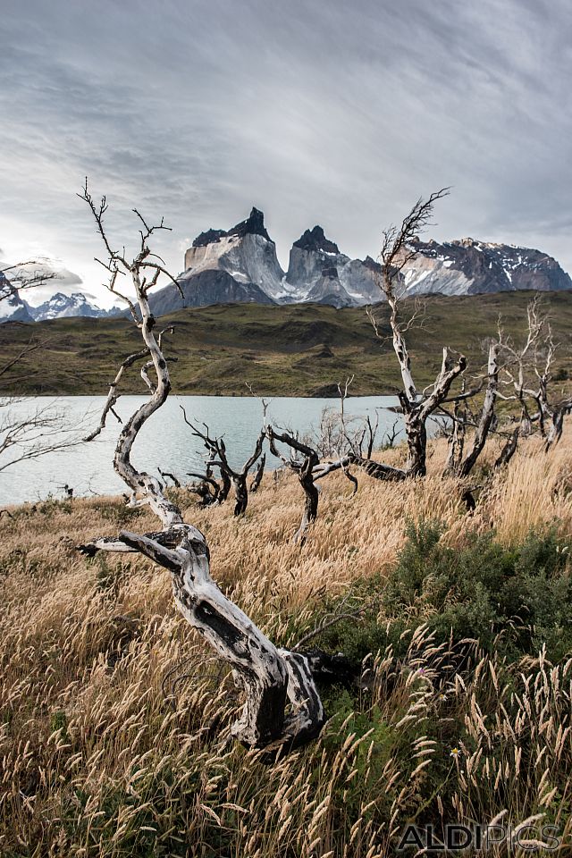 Lago Pehoe