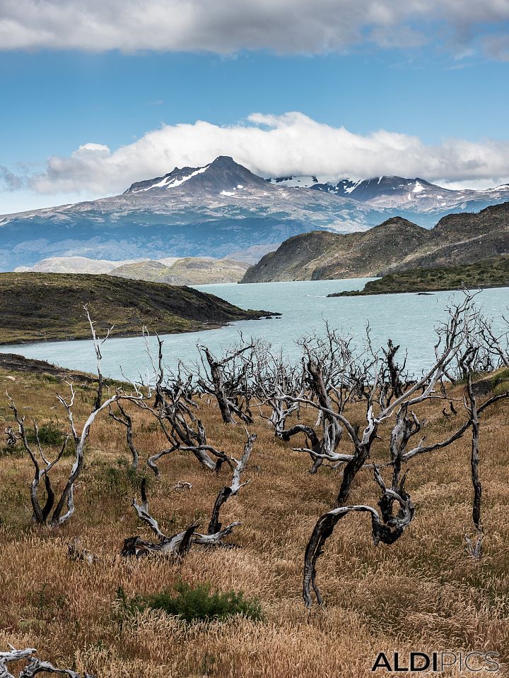 Torres Del Paine national park