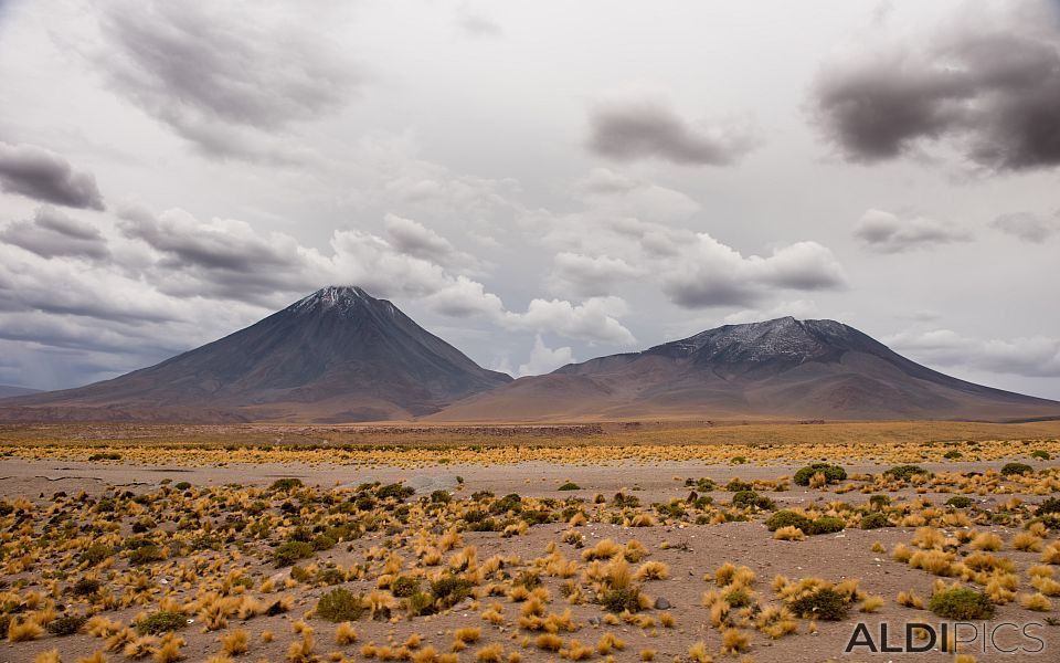 From the Andes to the Atacama