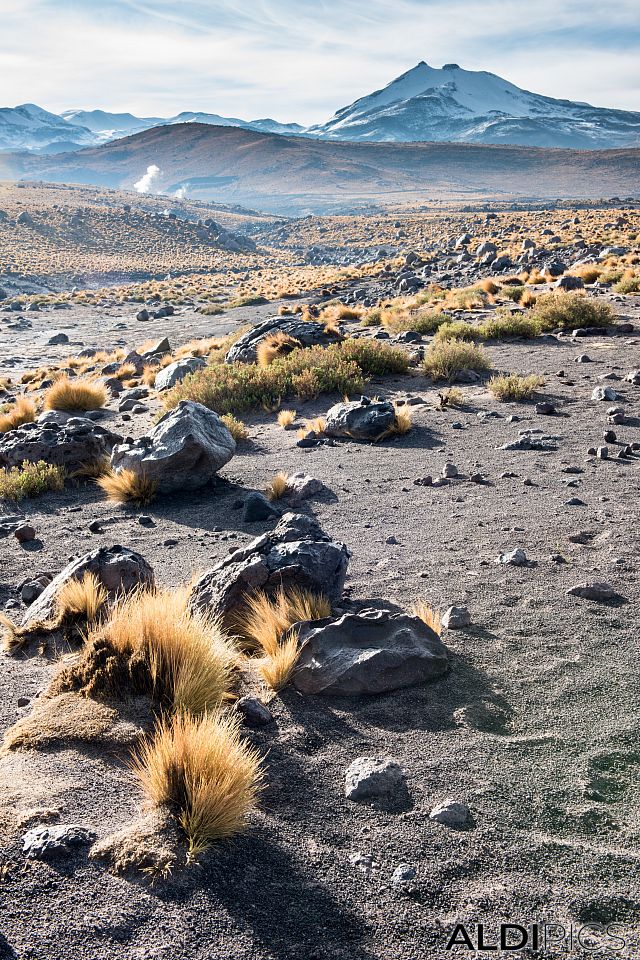 Landscapes from Atacama