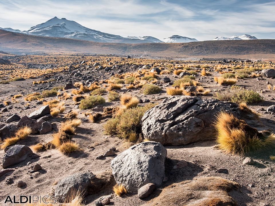 Landscapes from Atacama