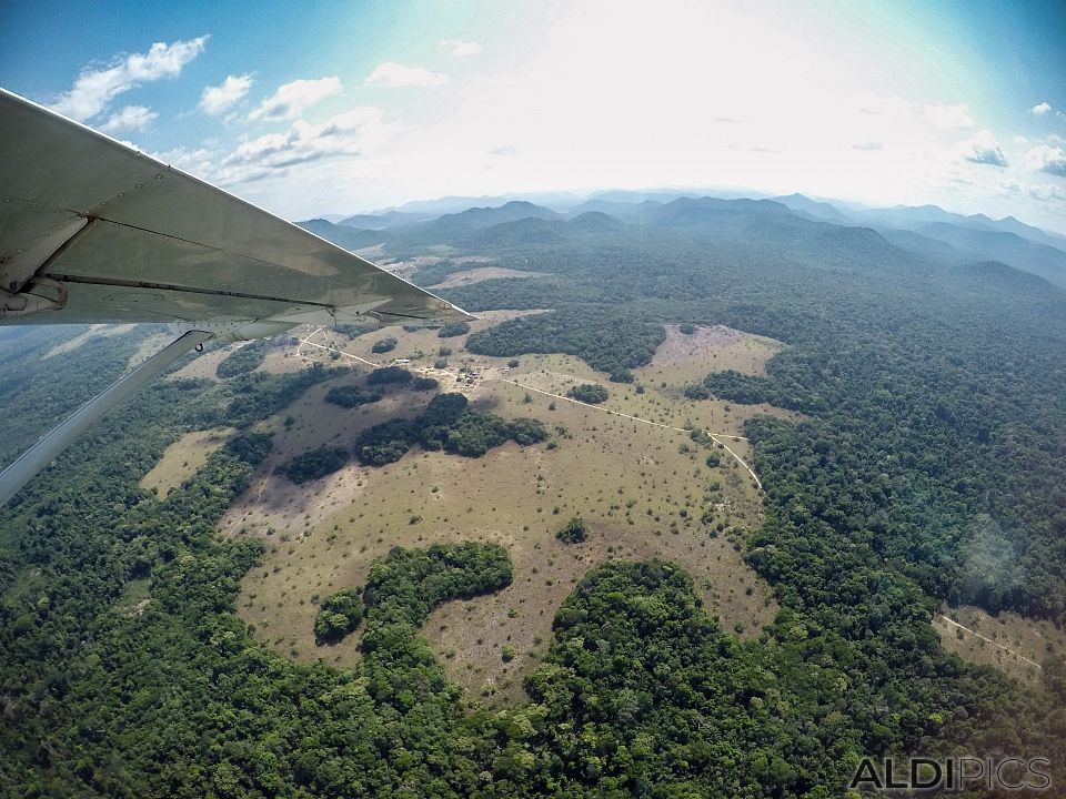 Flight over the rainforest