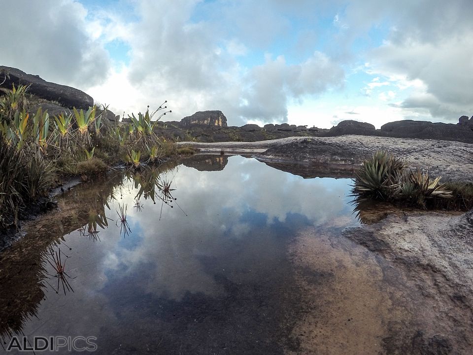 Roraima - the strangest mountain