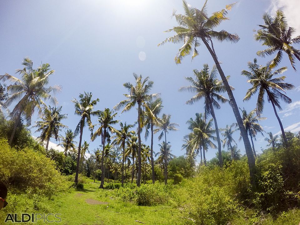 Around the island Gili Meno