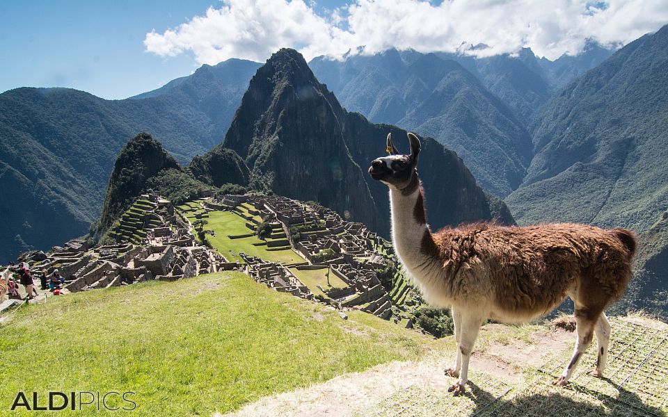 Machu Picchu