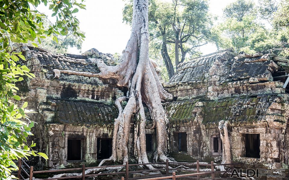 Ancient temples of Cambodia