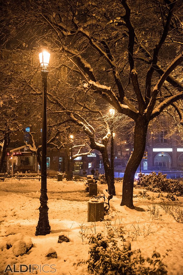 Snowly Plovdiv