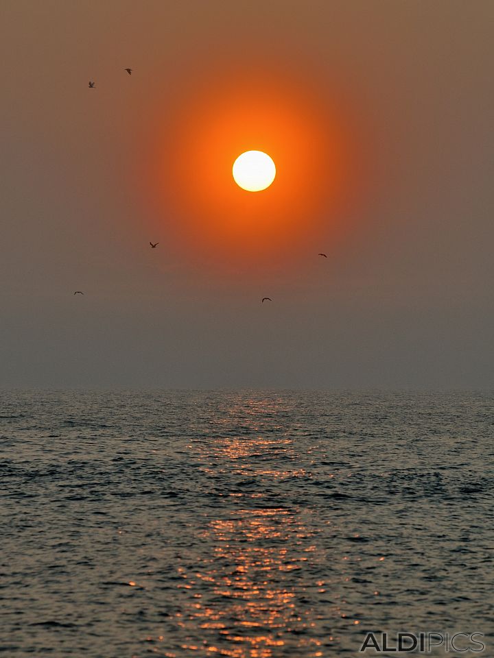 Sunrise near Tyulenovo