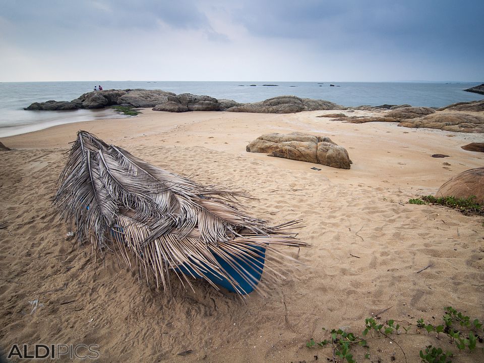 Kappad beach