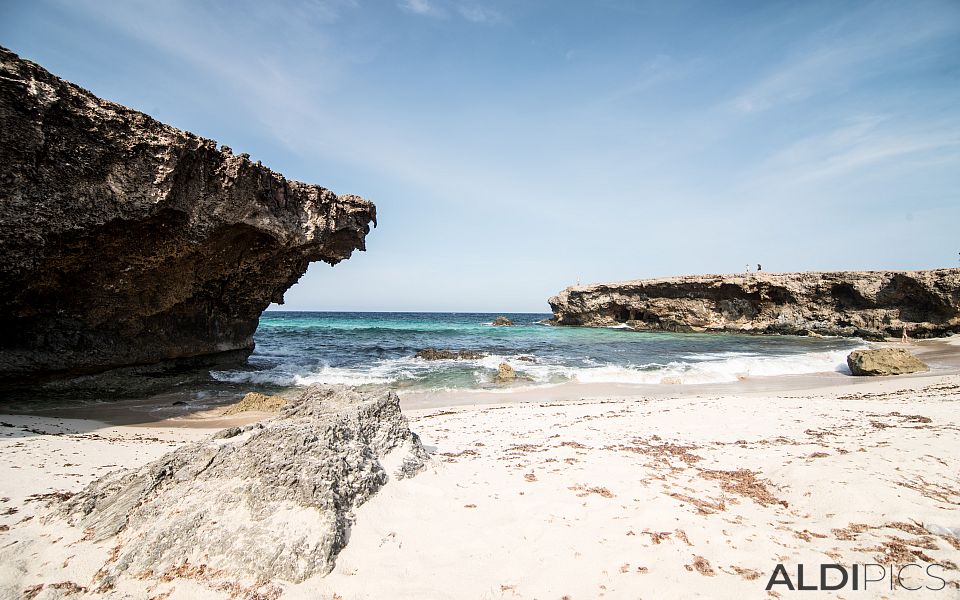 Coast of Aruba