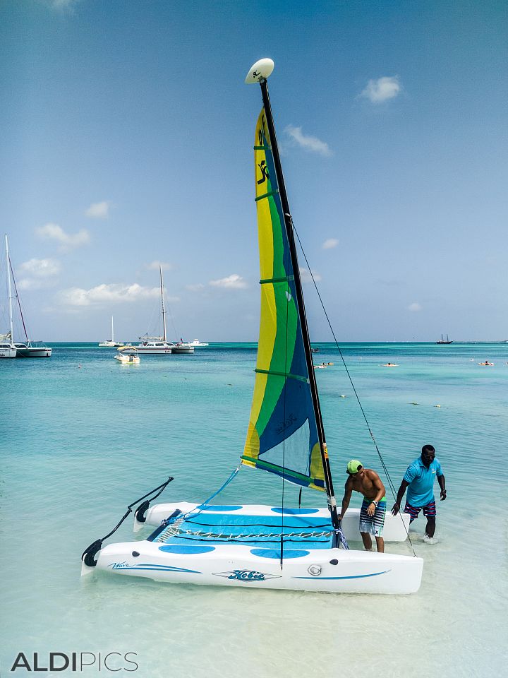 Coast of Aruba