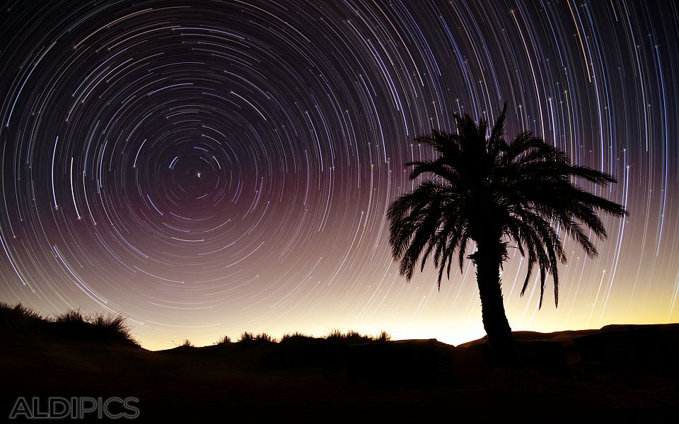 Startrails in Sahara