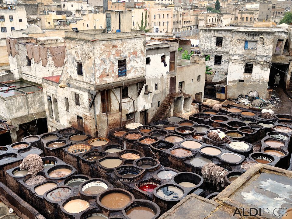 Medina of Fes