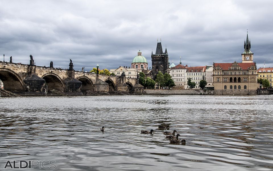 Vltava River