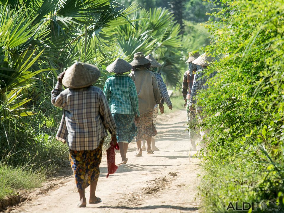 Somewhere in Myanmar