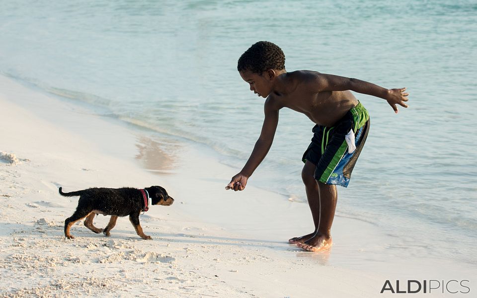 Kids on the beach