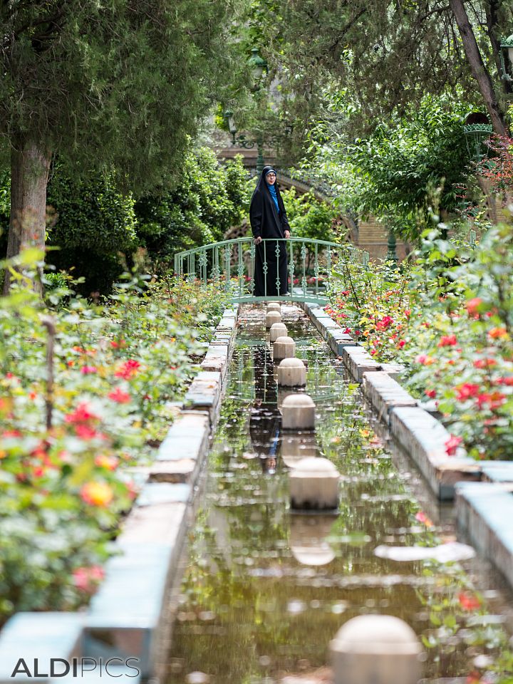 From the gardens of Tehran