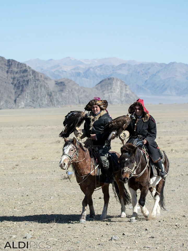 Golden Eagle Festival