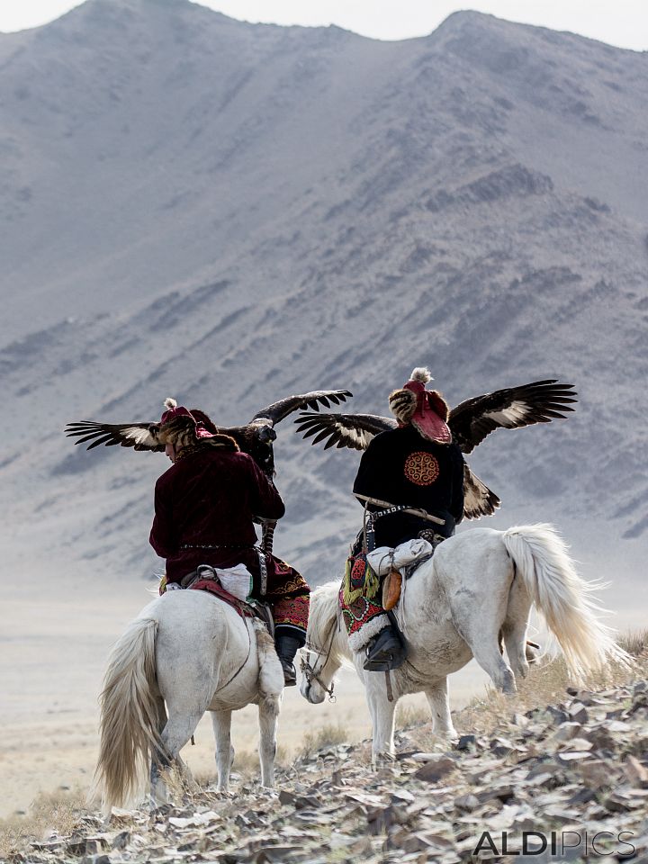 Golden Eagle Festival