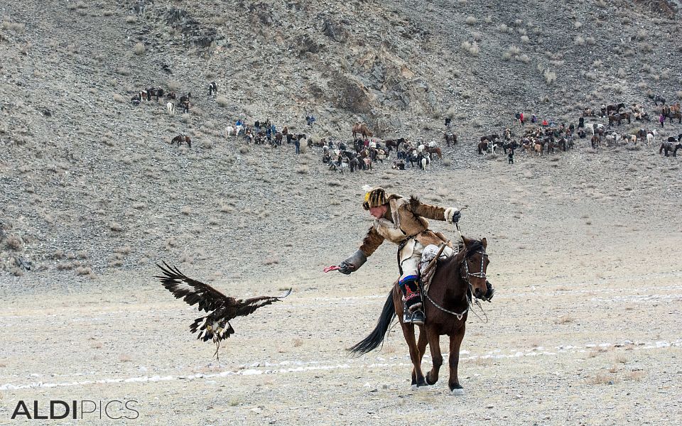 Golden Eagle Festival