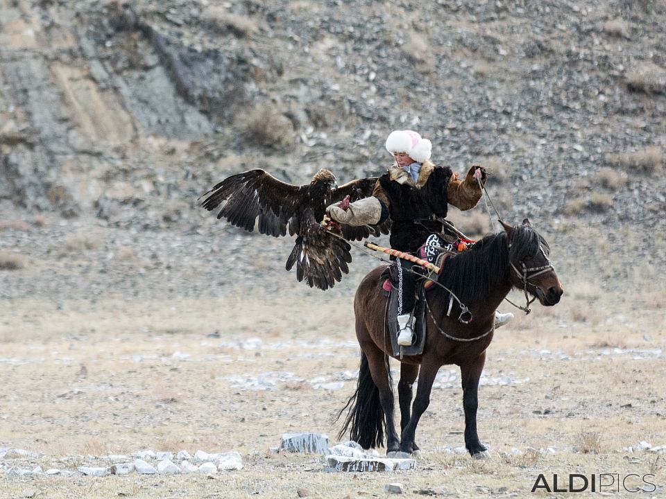 Golden Eagle Festival