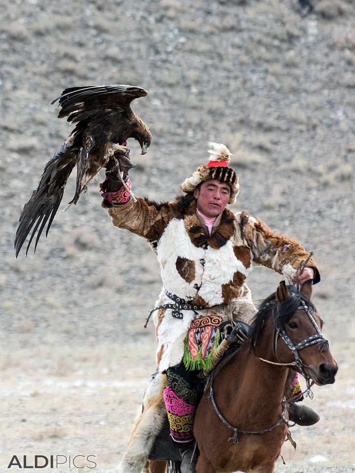 Golden Eagle Festival