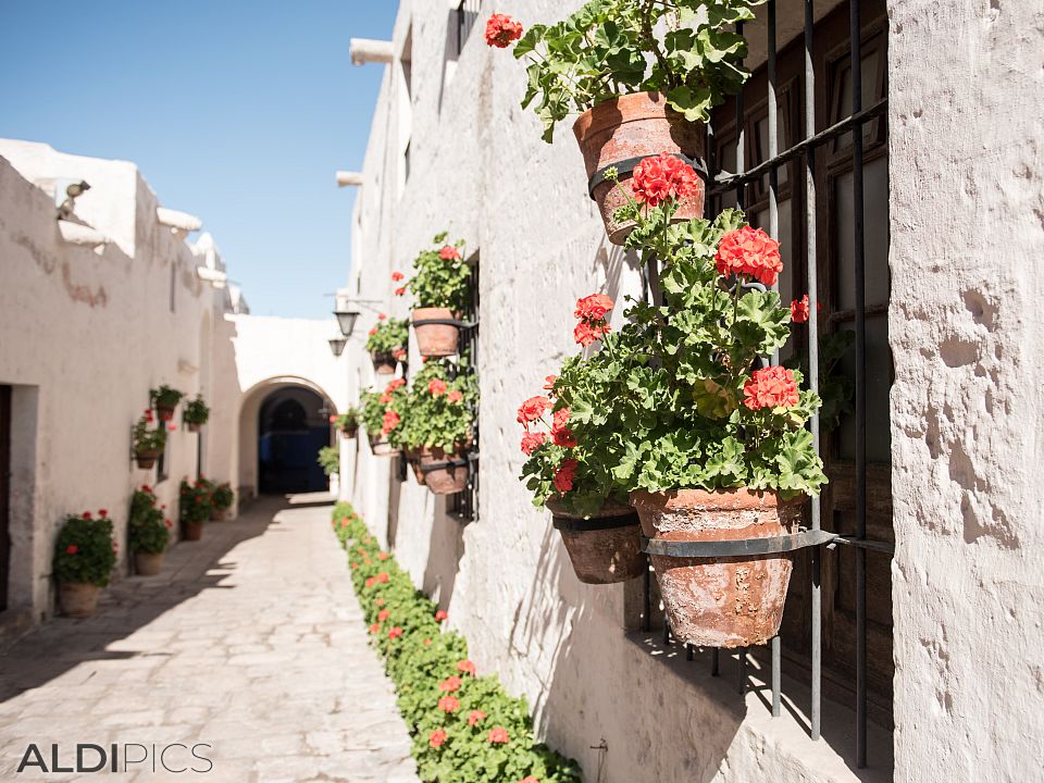 Santa Catalina monastery complex