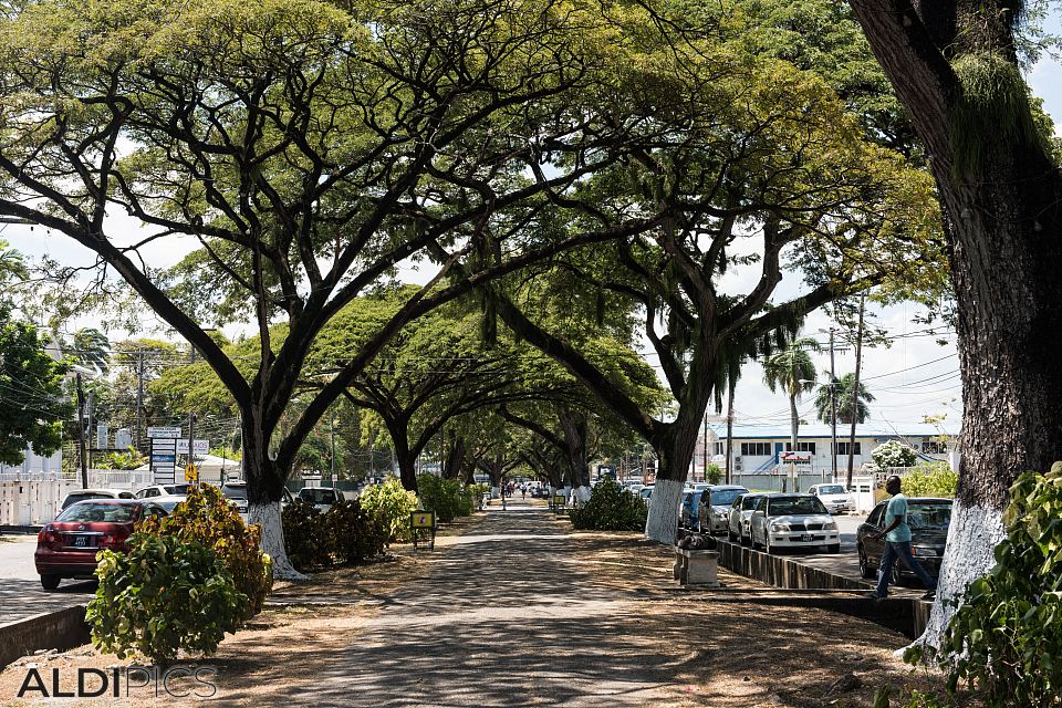 The streets of Georgetown