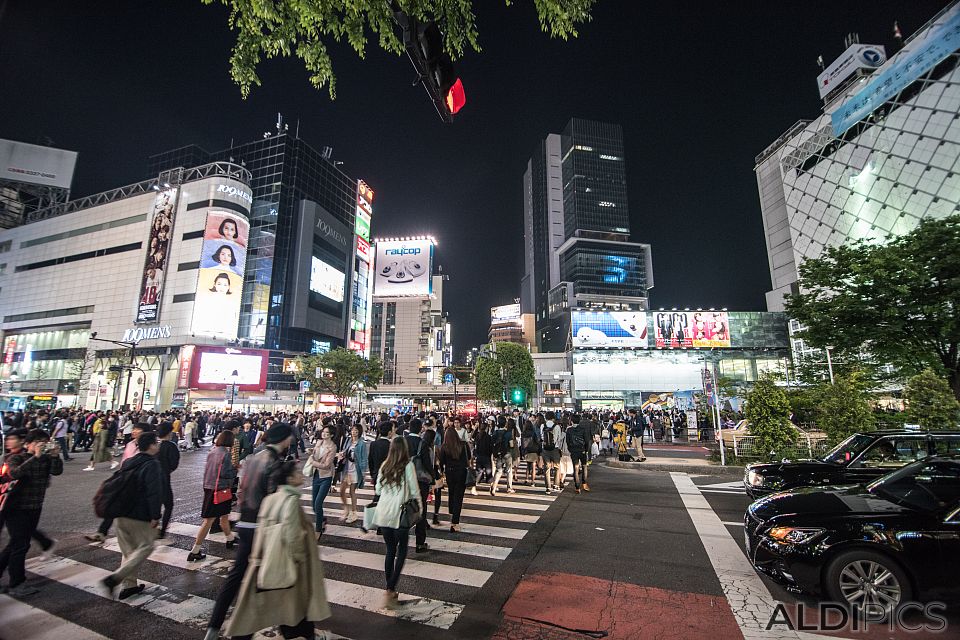 Shibuya City