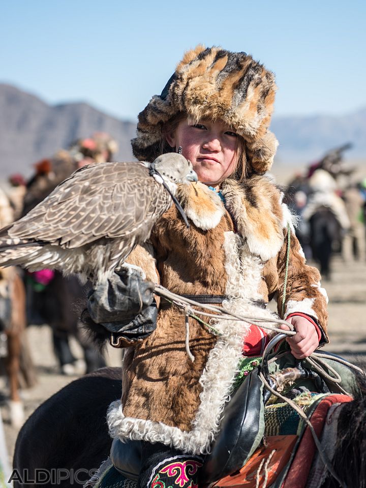 Golden Eagle Festival