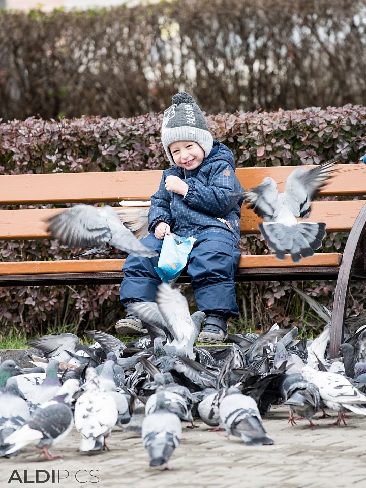 In the park