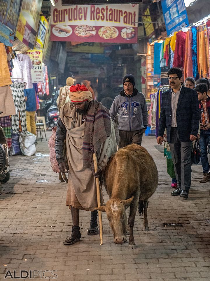 From the streets of Rishikesh