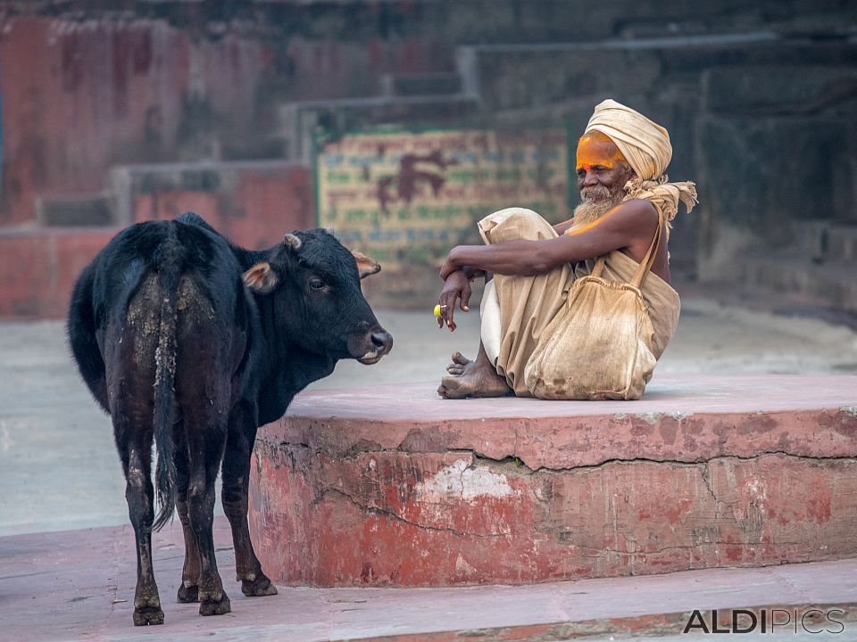 From the streets of Rishikesh