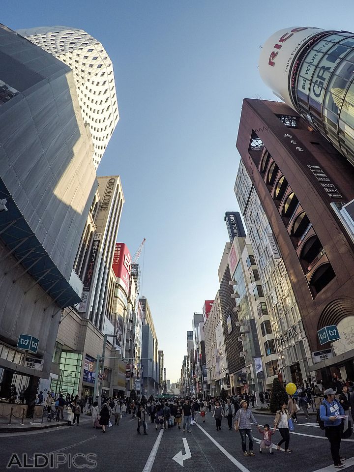 Streets of Tokyo